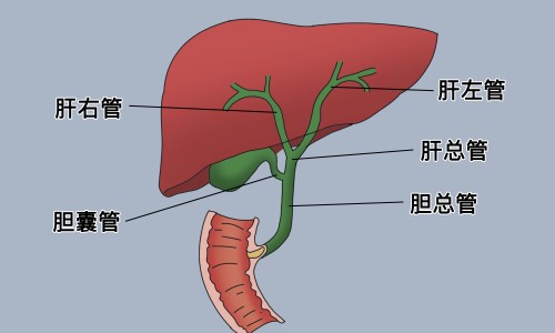 建水共享电单车-南京小学教师-朝晖一区二手房,中国fresh 防晒 孕妇网站